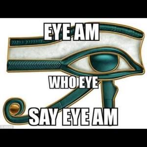 Meet your Posher, Terry